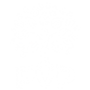 Logo de www.pvp.net.br